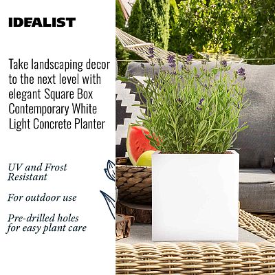 Square Box Contemporary Light Concrete Planter by Idealist Lite