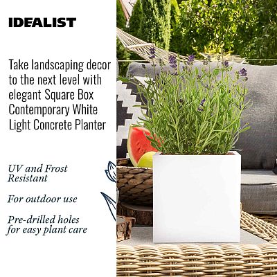 IDEALIST Lite Square Box Contemporary Light Concrete Planter