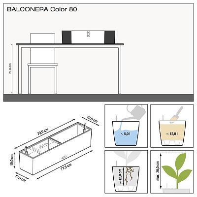 LECHUZA BALCONERA Color Trough Poly Resin Self-watering Planter