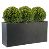 Trough planters