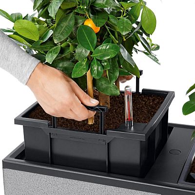 LECHUZA TRIO Stone Trough Poly Resin Self-watering Planter
