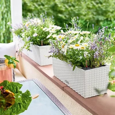 LECHUZA BALCONERA Cottage Trough Poly Resin Self-watering Planter