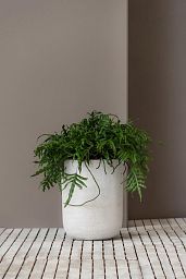 Fibrestone Dice Round Planter by Idealist Premium
