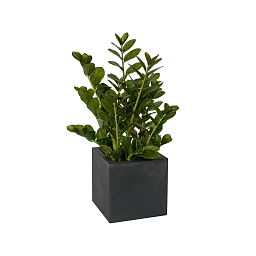 Square Fiberstone Planter by Idealist Premium