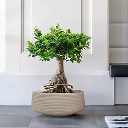 IDEALIST Lite Large Ribbed Light Concrete Bowl Planter