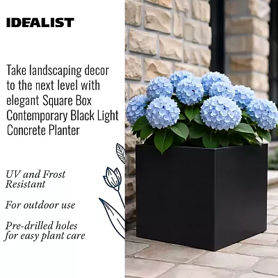 IDEALIST Lite Square Box Contemporary Light Concrete Planter