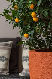 Fibrestone Ben Tall Planter by Idealist Premium