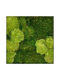 Moss Painting Stiel L Square