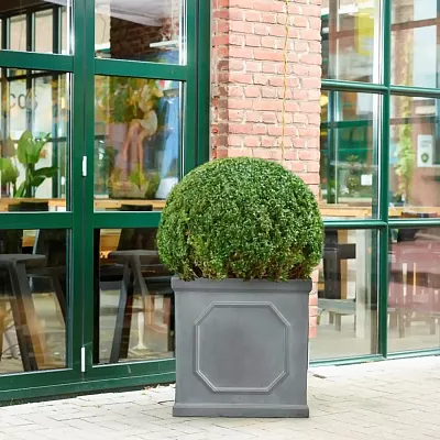 IDEALIST Lite Faux Lead Chelsea Box Square Light Concrete Planter