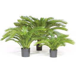 CYCASPALME DELUXE Artificial Tree Plant