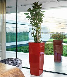 LECHUZA CUBICO ALTO Square Tall Poly Resin Self-watering Planter