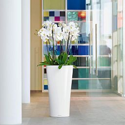 LECHUZA Delta Round Tall Poly Resin Self-watering Planter