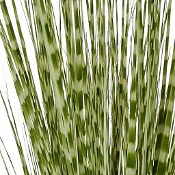 Zebra with pot Artificial Grass Plant