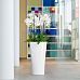 LECHUZA Delta Round Tall Poly Resin Self-watering Planter