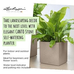 LECHUZA CANTO Stone Low Square Poly Resin Self-watering Planter