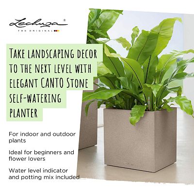 LECHUZA CANTO Stone Low Square Poly Resin Self-watering Planter