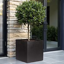 IDEALIST Lite Contemporary Flower Box Square Garden Planter, Black Lig...