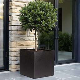 IDEALIST Lite Square Box Contemporary Light Concrete Planter