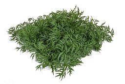 Topiary Mat Aralia UV-resistant Artificial Grass Plant
