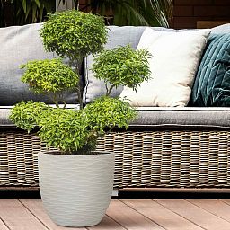 IDEALIST Lite Wave Style Outdoor Egg Planter