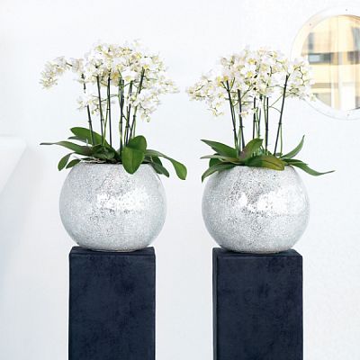 Disco Round Polystone Indoor Planter