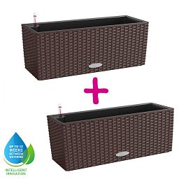 LECHUZA BALCONERA Cottage Trough Poly Resin Self-watering Planter Set