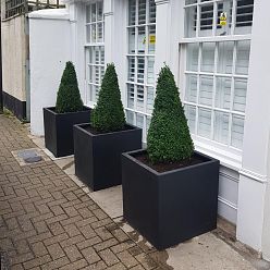 Square Fiberstone Planter by Idealist Premium