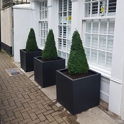 Square Fiberstone Planter by Idealist Premium