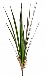 Grass-Reed Artificial Grass Plant
