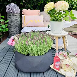 IDEALIST Lite Faceted Effect Bowl Planter Indoor Plant Pot