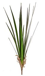 Grass-Reed Artificial Grass Plant