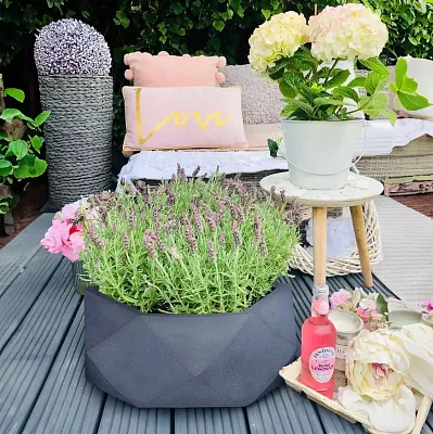 IDEALIST Lite Faceted Effect Bowl Planter Indoor Plant Pot