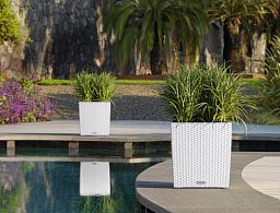 LECHUZA CUBE Cottage Square Poly Resin Self-watering Planter
