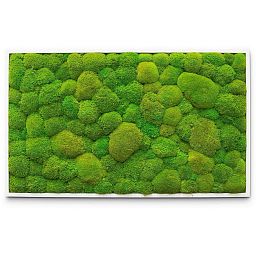 PREMIUM Moss Wall Art Artificial Moss Plant