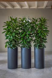 Fibrestone Klax Tall Planter by Idealist Premium
