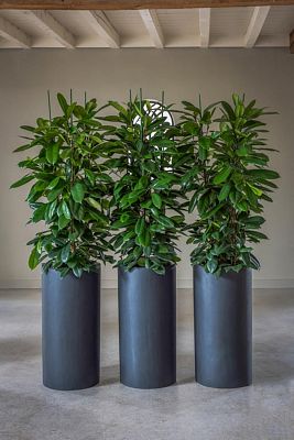 Fibrestone Klax Tall Planter by Idealist Premium