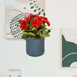 IDEALIST Lite Plaited Style Table and Hanging Cylinder Round Plant Pot Dual Use Indoor Planter