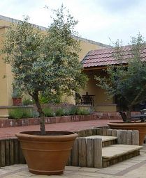 Large Pot Fiberglass Round Tall Terracotta Planter In/Out