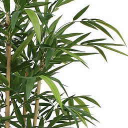 BAMBOO DELUXE Artificial Tree Plant