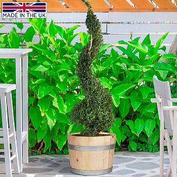 Rustic European Birch Hardwood Round Tub Half Barrel Outdoor Planter Made in UK by HORTICO