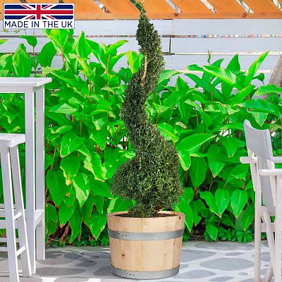 Rustic European Birch Hardwood Round Tub Half Barrel Outdoor Planter Made in UK by HORTICO