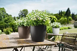 LECHUZA CLASSICO Color Round Poly Resin Self-watering Planter