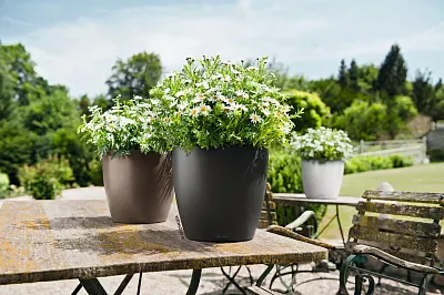 LECHUZA CLASSICO Color Round Poly Resin Self-watering Planter