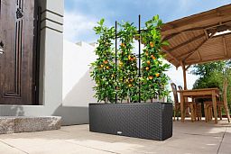 LECHUZA TRIO Cottage Trough Poly Resin Self-watering Planter