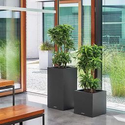 LECHUZA CANTO Stone High Square Tall Poly Resin Self-watering Planter