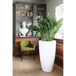 PREMIUM LUNA Tall Plastic Planter