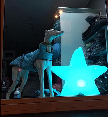 LUMENIO LED Star Lighted Object
