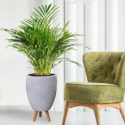 IDEALIST Lite Striped Egg Planter on Legs, Round Pot Plant Stand Indoor