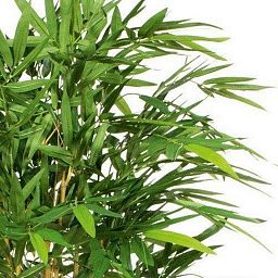 BAMBOO DELUXE Artificial Tree Plant