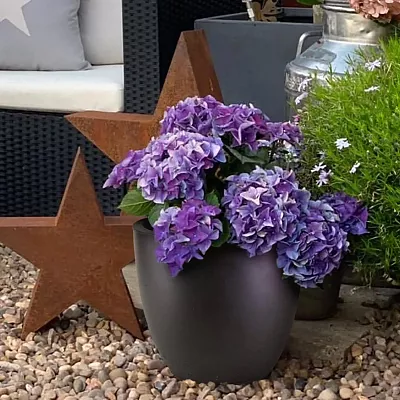 IDEALIST Lite Contemporary Light Concrete Egg Planter